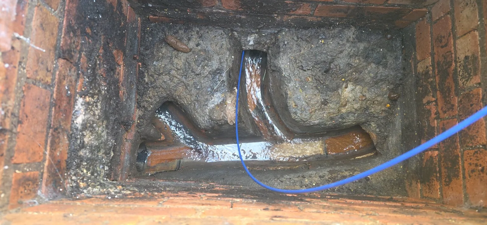 Bedbug Heat Treatment