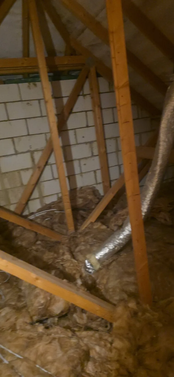 Camera Pest Surveys
